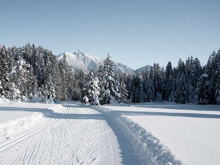 Cross country skiing on vacation in Seefeld in Tirol