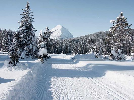 Pension near the cross-country ski trail in Seefeld in Tirol